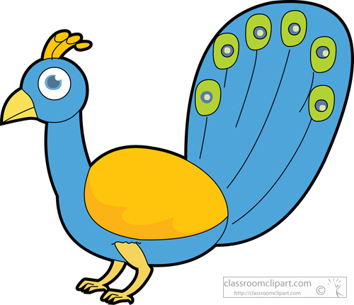 peacock_bird_animals_10.jpg