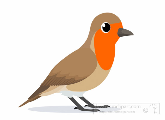 robin-bird-clipart-1012.jpg