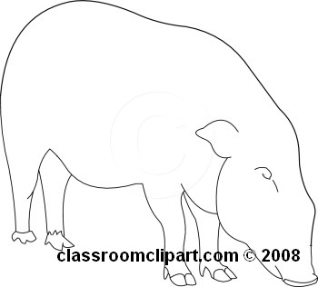 01-08-08_05R_abw.jpg