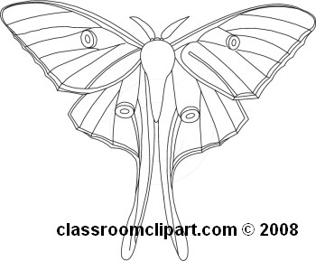 02-08-08_25R.jpg