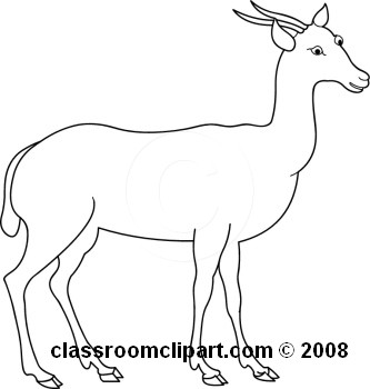 16-07-08_02m_aBW.jpg