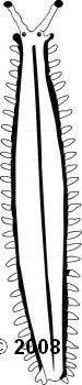 17-07-08_12M_abw.jpg