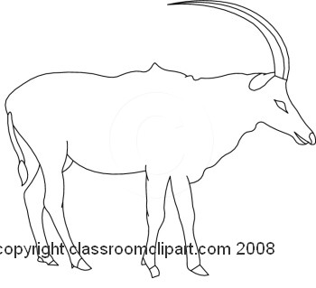20-11-08_04MBW.jpg