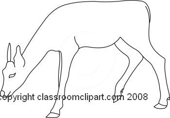 20-11-08_08Mbw.jpg