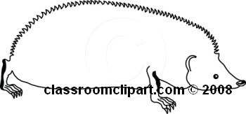 23-07-08_07m_abw.jpg