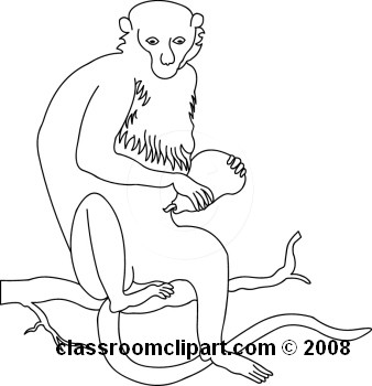 24-07-08_06M_abw.jpg