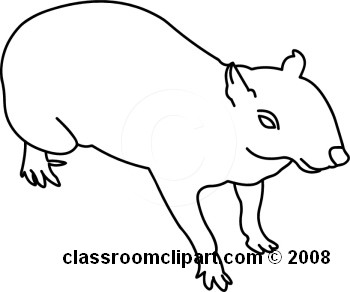 24-07-08_27M_abw.jpg