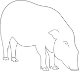 Click to View Full Clipart Image