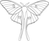 Click to View Full Clipart Image