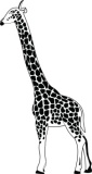 Click to View Full Clipart Image
