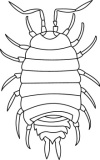 Click to View Full Clipart Image