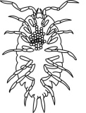 Click to View Full Clipart Image