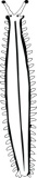 Click to View Full Clipart Image