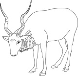 Click to View Full Clipart Image