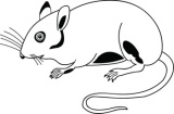 Click to View Full Clipart Image