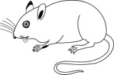 Click to View Full Clipart Image