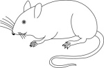 Click to View Full Clipart Image
