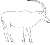 Click to View Full Clipart Image