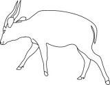 Click to View Full Clipart Image