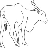 Click to View Full Clipart Image