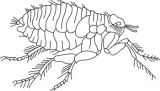 Click to View Full Clipart Image