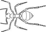Click to View Full Clipart Image