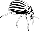 Click to View Full Clipart Image