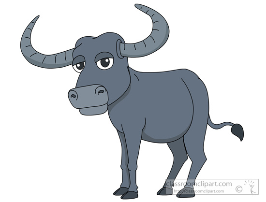 buffalo-910.jpg