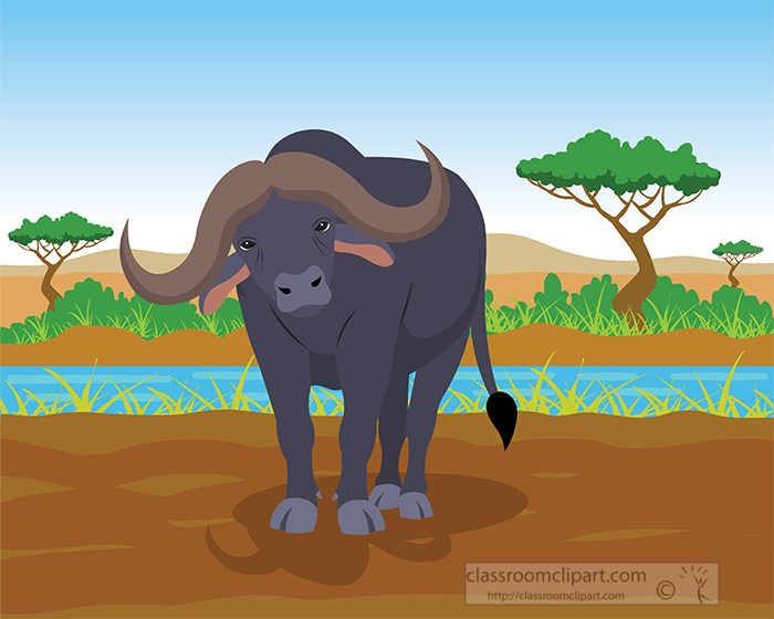 buffalo-standinig-along-a-tree-lined-river-bank-in-africat.jpg