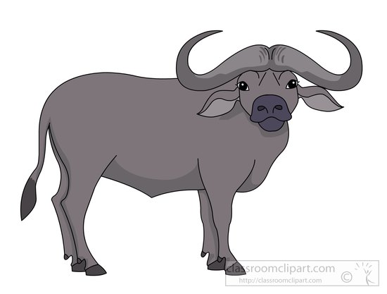 cape-buffalo-clipart-7216.jpg