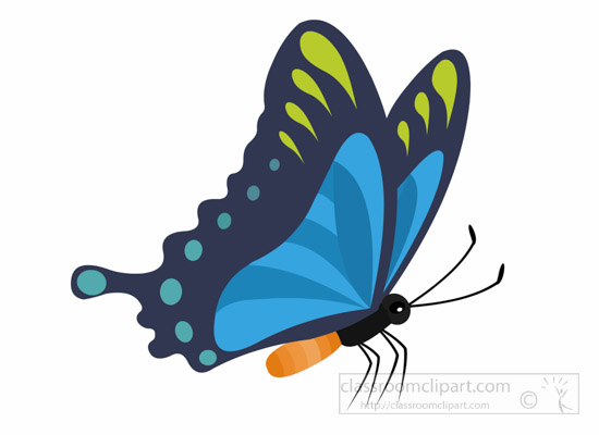 butterfly-side-view-insect-clipart.jpg