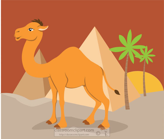 camel-in-desert-with-pyramids-in-background-clipart.jpg