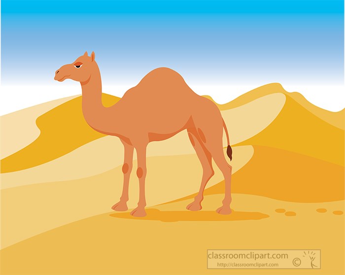 camel-standing-in-the-sandy-dunes-in-the-desert-clipart.jpg