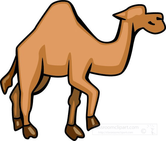 side-view-one-hump-camel-clipart.jpg