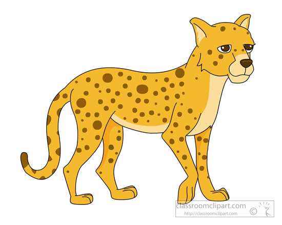 cheetah-910.jpg