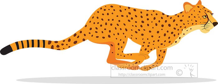 cheetah-running-white-background-vector-clipart.jpg