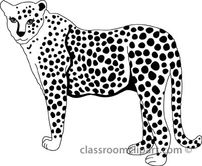 cheetah_327_2bb_outline.jpg