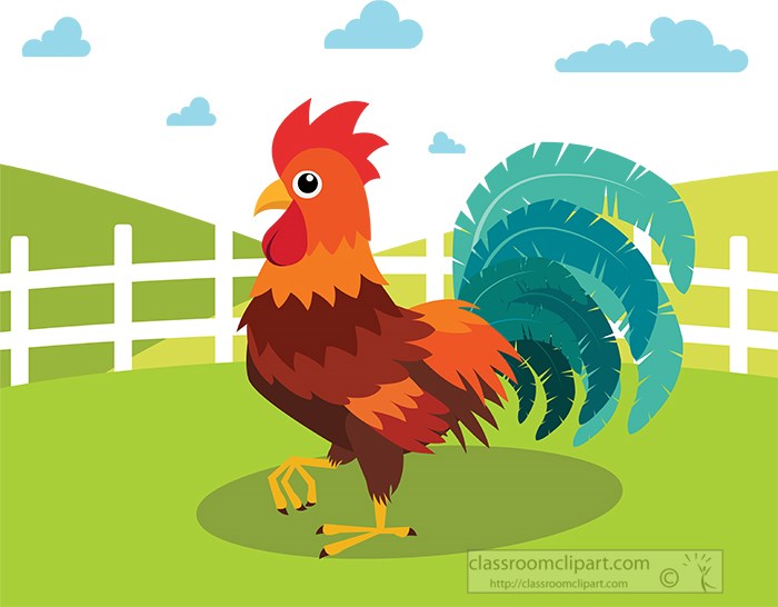 colorful-chicken-stadning-near-white-fence-in-pasture-on-farm-c-lipart.jpg