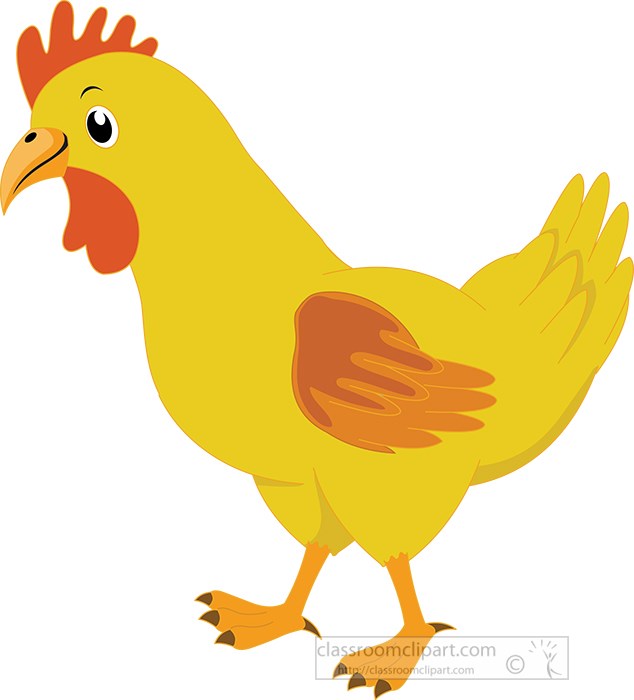 yellow-chicken-walking-vector-clipart.jpg