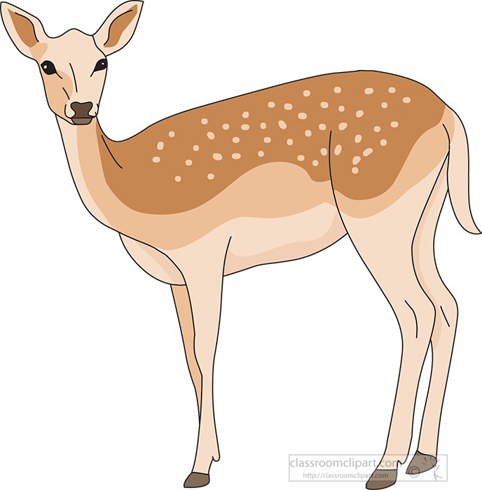 brown-spotted-deer-clipart.jpg