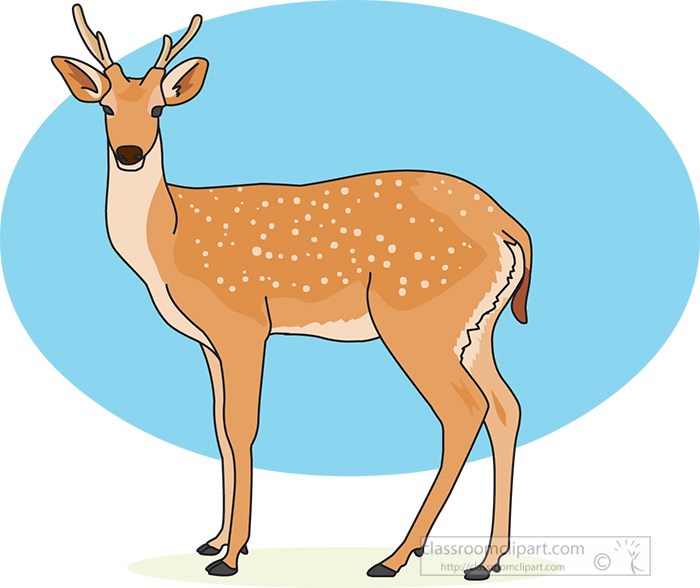 deer-standing-against-blue-background-clipart.jpg