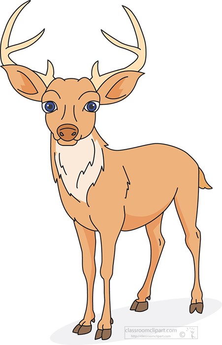 deer-with-antlers-clipart-(1).jpg