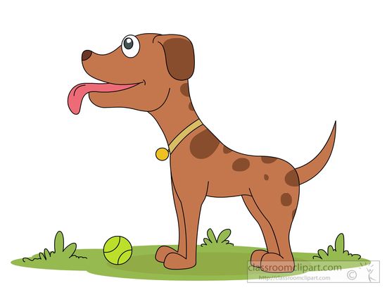 curious-dog-with-tennis-ball-clipart-590.jpg
