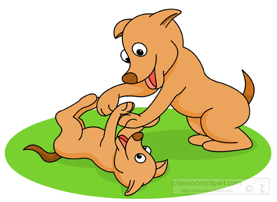 two-puppies-playing.jpg