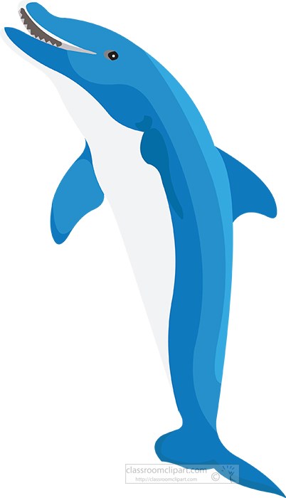 blue-dolphin-vector-clipart.jpg