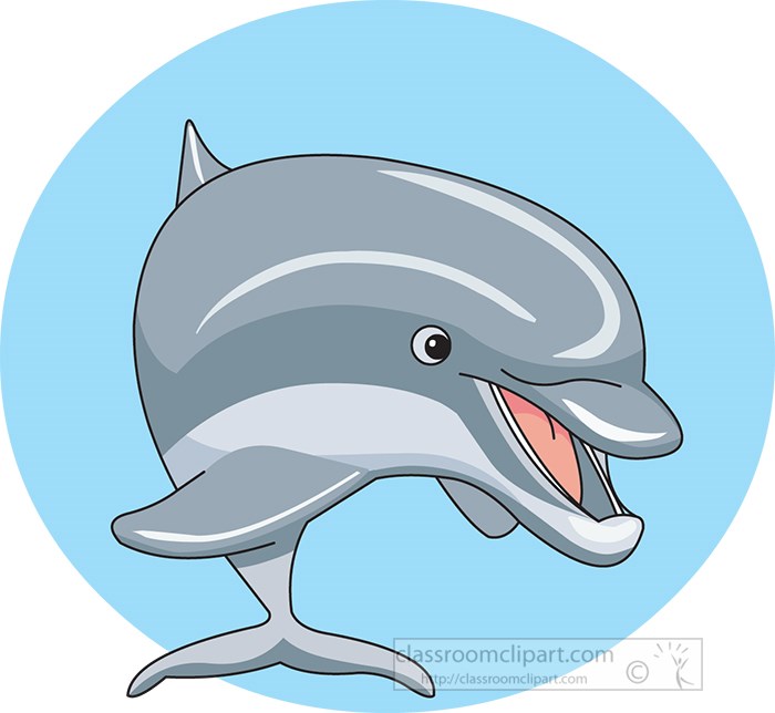 cute-happy-dolphin_marine-animal.jpg