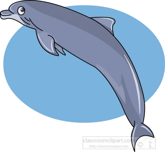 dolphin-01A-2012.jpg