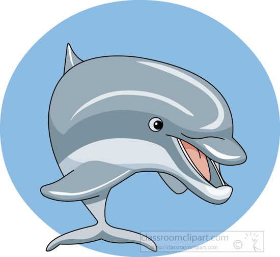 dolphin_marine-animal-02A.jpg