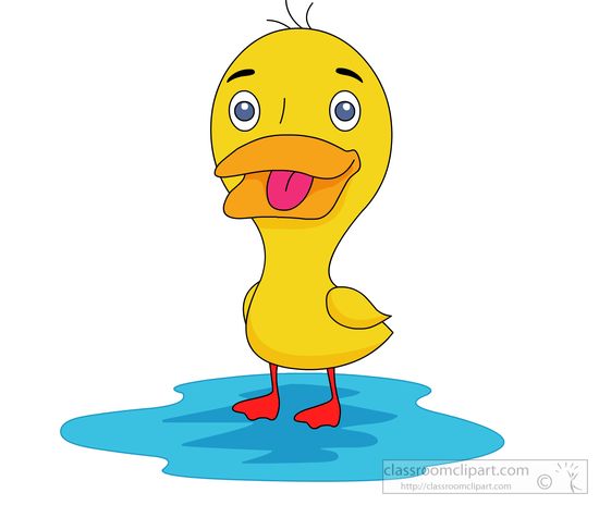 a-cute-duck-standing-puddle-water-clipart.jpg