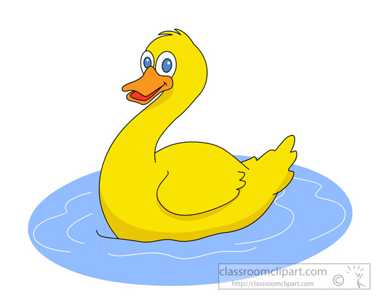 yellow-duck-in-pond-water.jpg